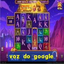 voz do google tradutor homem